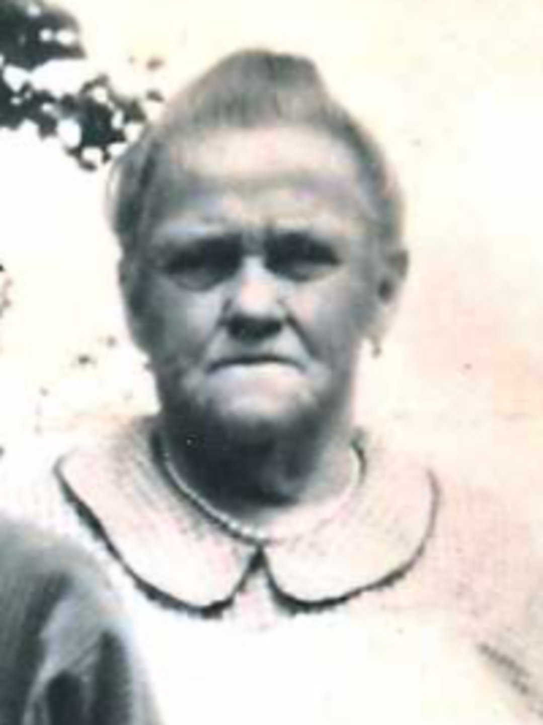 Elizabeth Picton (1854 - 1935) Profile